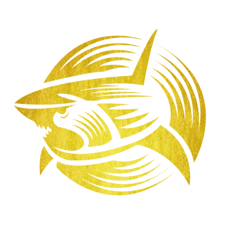 金沙token